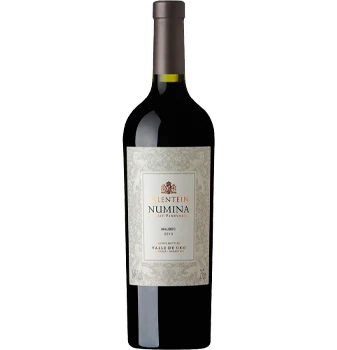 SALENTEIN NUMINA MALBEC VINO 750ML X1