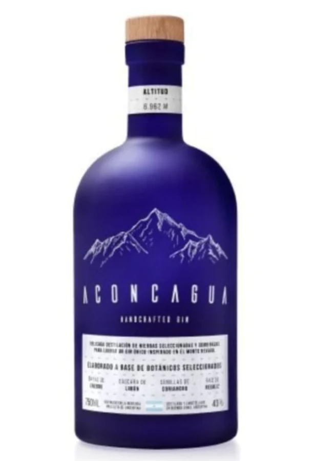 ACONCAGUA GIN X750ML