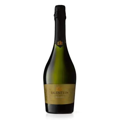 SALENTEIN EXTRA BRUT ESPUMANTE 750ML X1